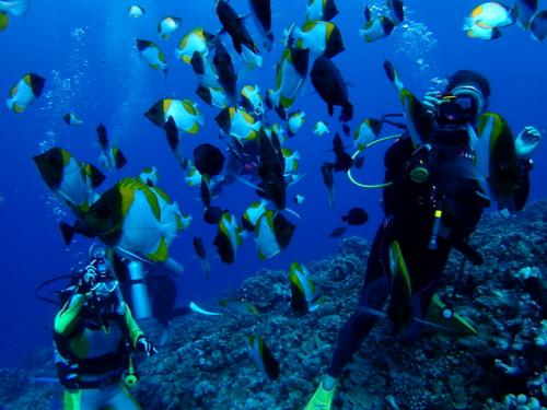 サイパン 体験ダイビング