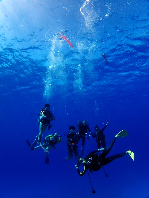 サイパン ダイビング
