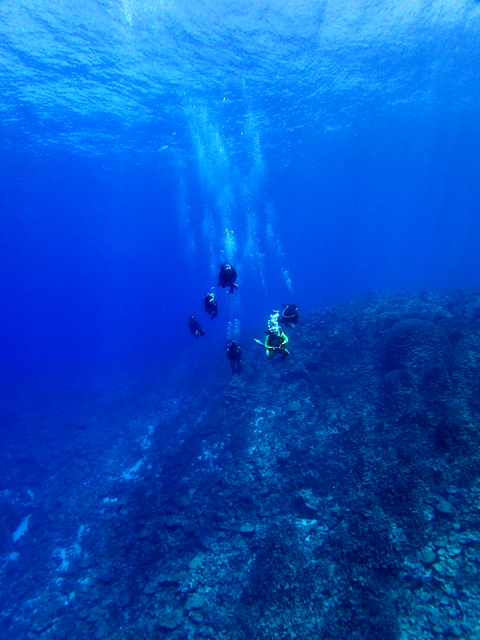サイパン 体験ダイビング