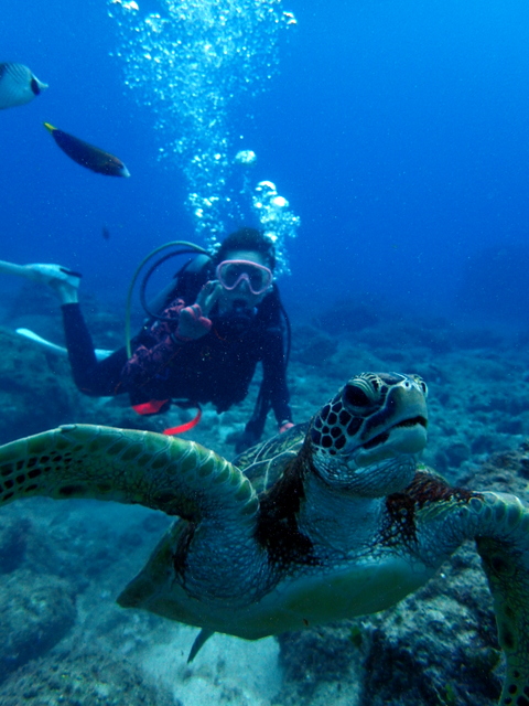 サイパン ダイビングショップ