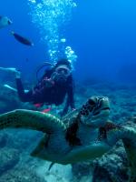 サイパン ダイビングショップ