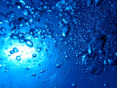 サイパン ダイビングライセンス