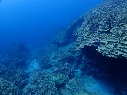 サイパン 体験ダイビング