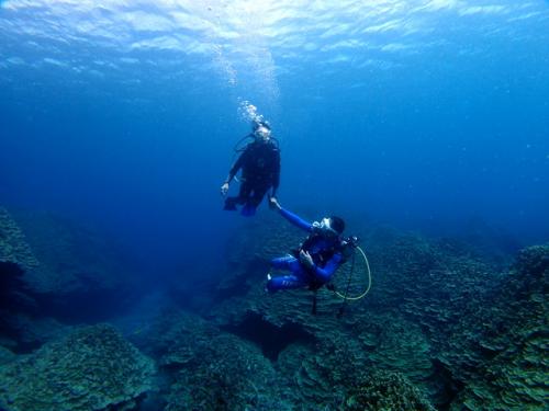 サイパン ダイビングライセンス