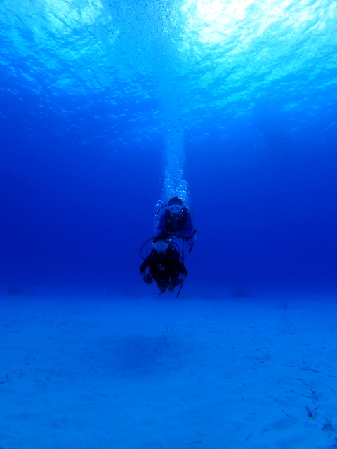 サイパン 体験ダイビング