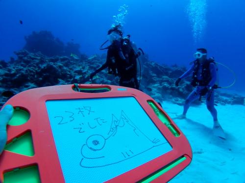 サイパン ダイビング