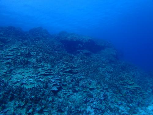 サイパン ダイビング