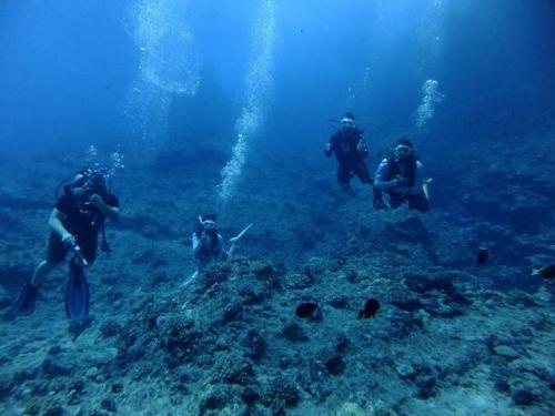 サイパン 体験ダイビング