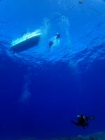 サイパン　ダイビングショップ