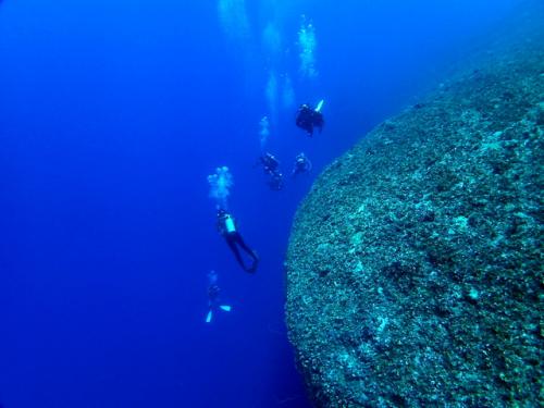 サイパン ダイビングライセンス