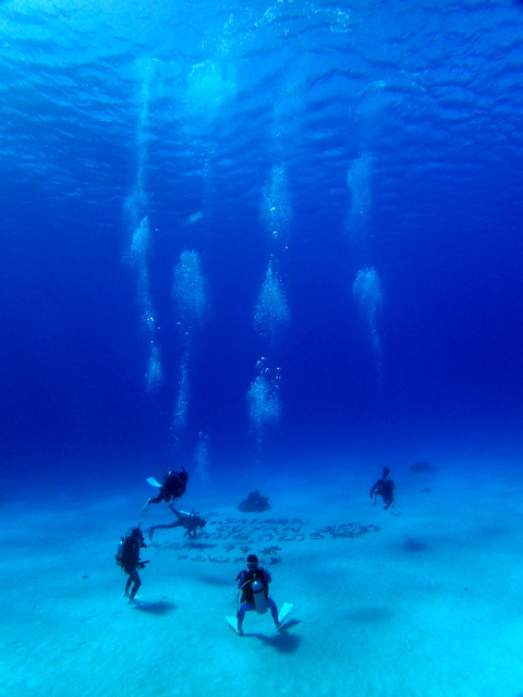 サイパン 体験ダイビング