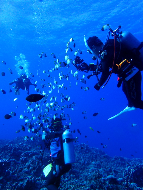 サイパン ダイビング