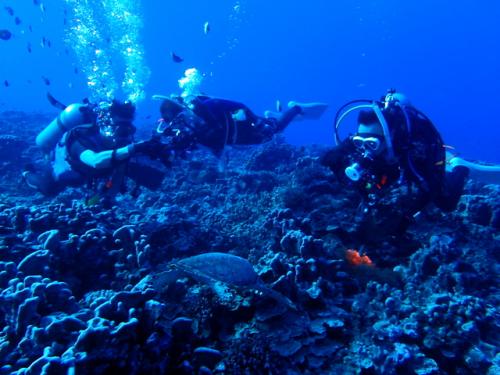 サイパン 体験ダイビング