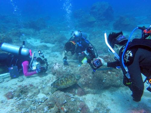 サイパン ダイビング