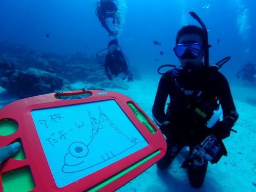 サイパン 体験ダイビング