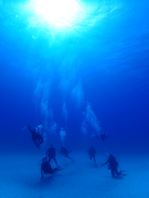 サイパン ダイビングライセンス