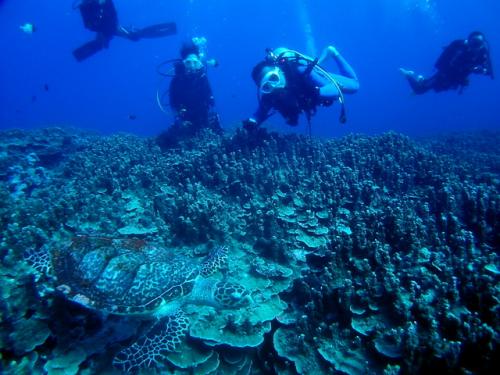 サイパン ダイビングショップ