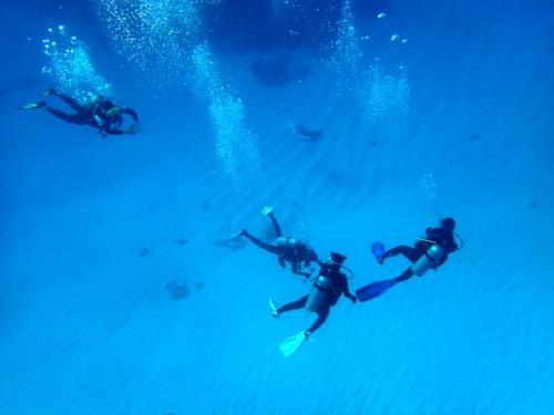 サイパン ダイビング