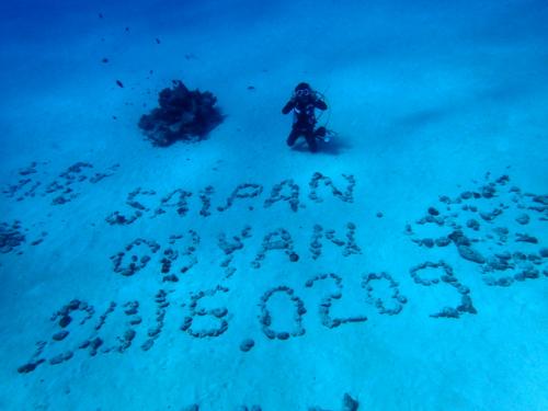 サイパン ダイビングライセンス