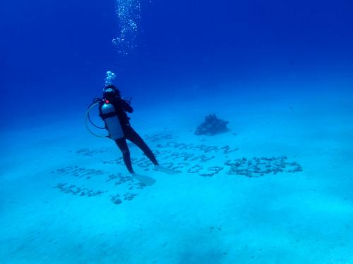 サイパン ダイビングショップ