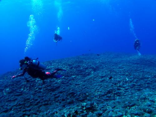 サイパン ダイビング