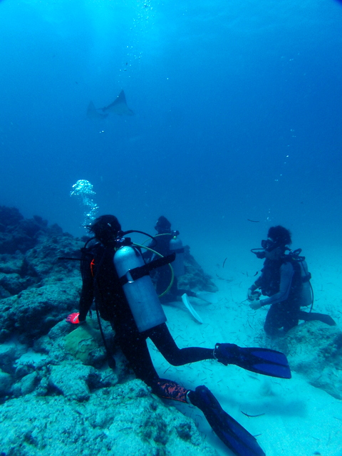 サイパン 体験ダイビング