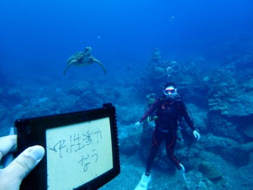 サイパン ダイビング