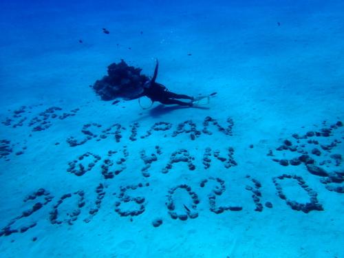 サイパン ダイビング ライセンス