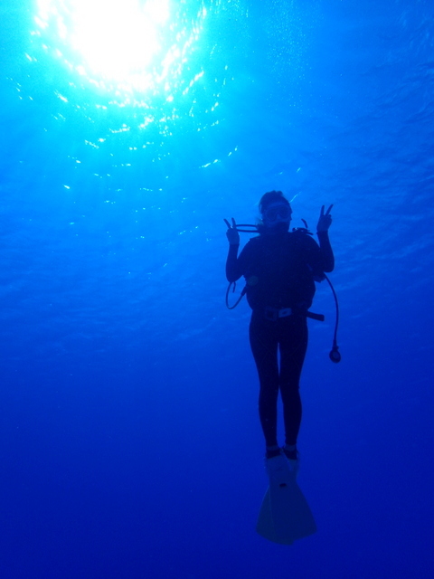 サイパン 体験ダイビング