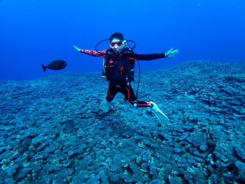 サイパン 体験ダイビング