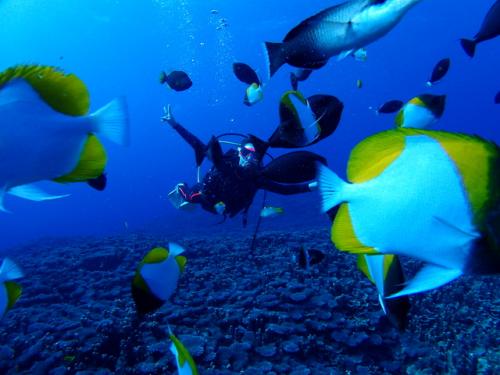 サイパン ダイビングショップ