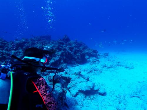 サイパン ダイビング