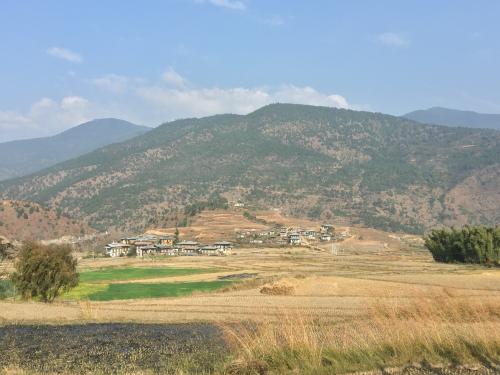 のんびりした自然のなかで食べました