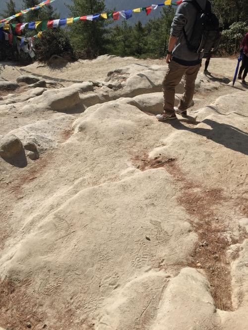 少し過酷なツルツル道