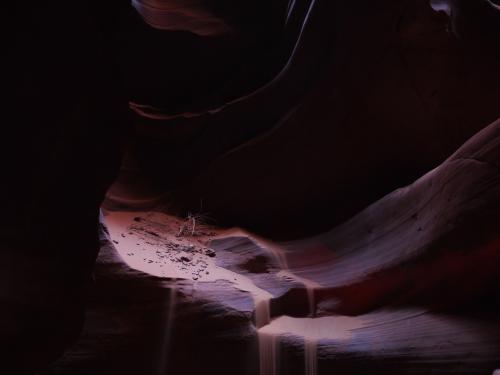 アンテロープキャ二オン