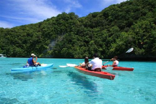 ※(提供)パラオ政府観光局