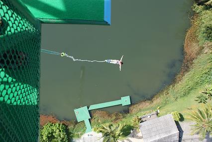 わたくしの勇気！