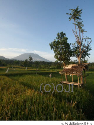 @バリ島東部のある村で