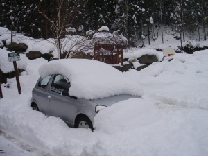 だれか私の車を助けて！