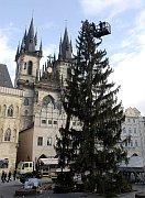 クリスマスマーケット