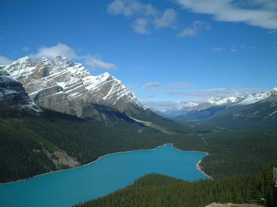 その後のペイト