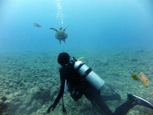 サイパン ダイビング ライセンス
