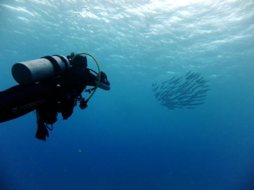 サイパン 体験ダイビング
