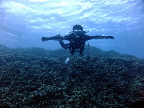 サイパン ダイビング ライセンス