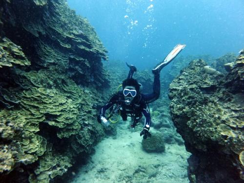 サイパン ダイビング