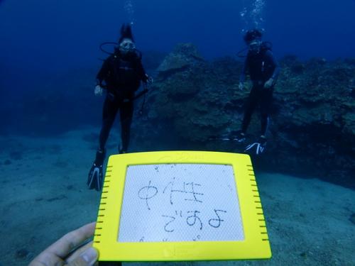 サイパン ダイビング ライセンス