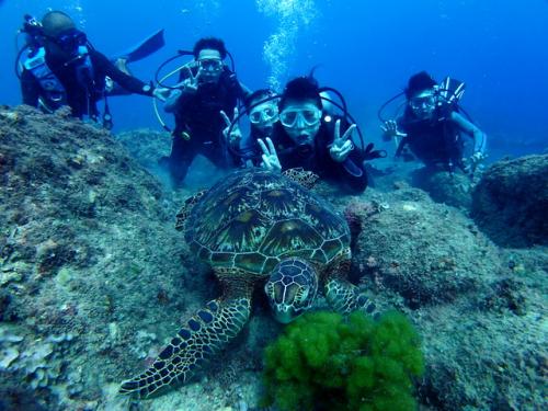 サイパン 体験ダイビング