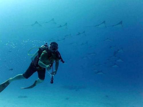 サイパン ダイビングショップ