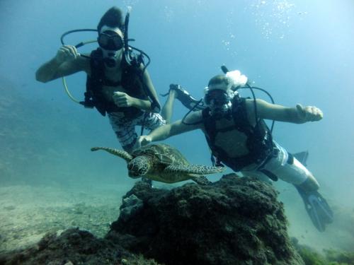 サイパン ダイビング ライセンス