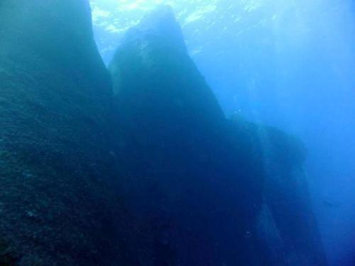 サイパン ダイビング ライセンス